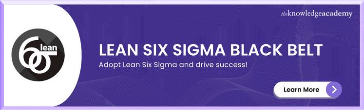 Lean Six Sigma Black Belt vs Six Sigma Black Belt